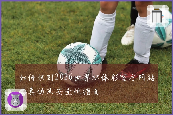 如何识别2026世界杯体彩官方网站的真伪及安全性指南