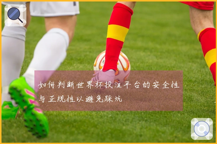 如何判断世界杯投注平台的安全性与正规性以避免踩坑