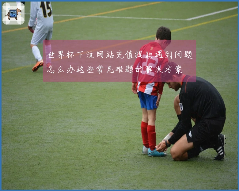世界杯下注网站充值提款遇到问题怎么办这些常见难题的解决方案