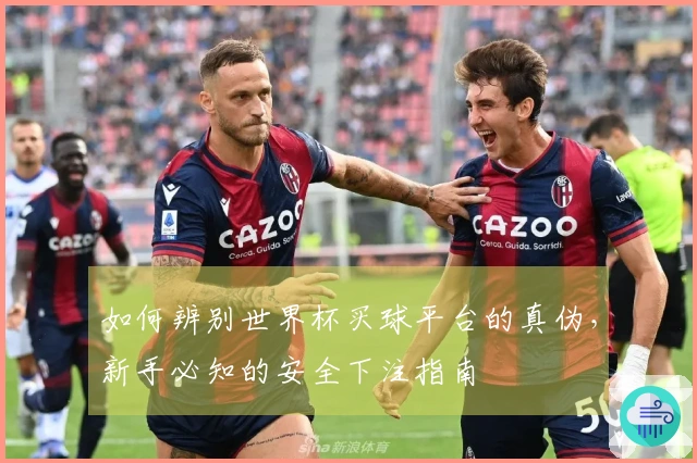 如何辨别世界杯买球平台的真伪，新手必知的安全下注指南