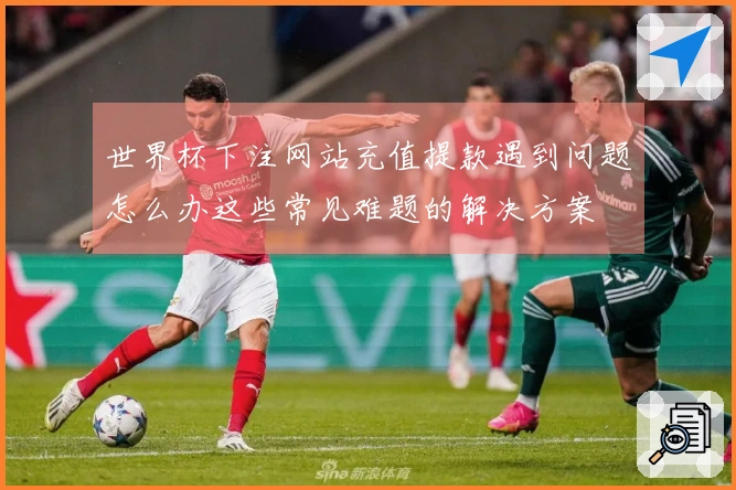 世界杯下注网站充值提款遇到问题怎么办这些常见难题的解决方案