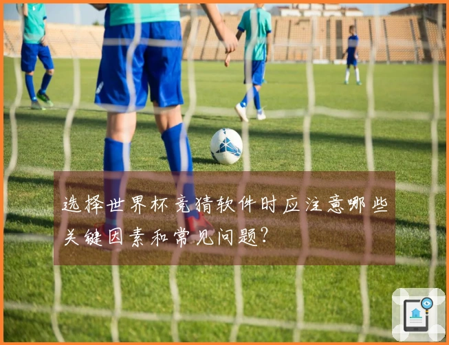选择世界杯竞猜软件时应注意哪些关键因素和常见问题?