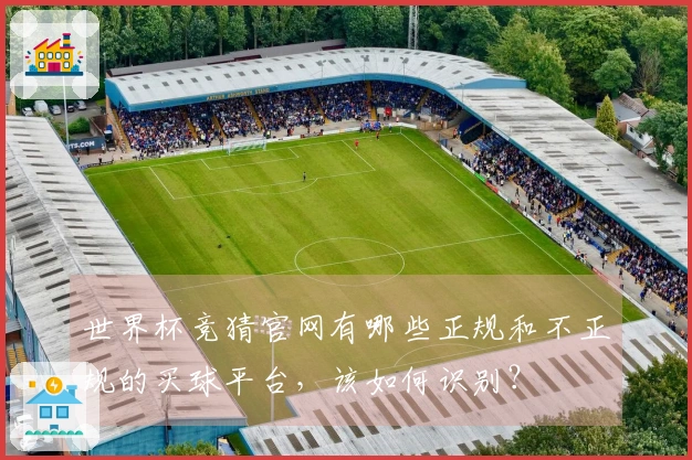 世界杯竞猜官网有哪些正规和不正规的买球平台，该如何识别？