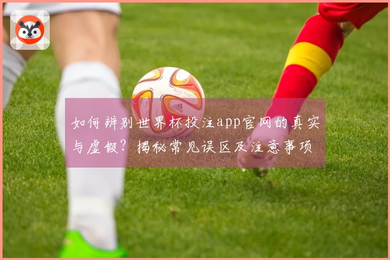 如何辨别世界杯投注app官网的真实与虚假？揭秘常见误区及注意事项