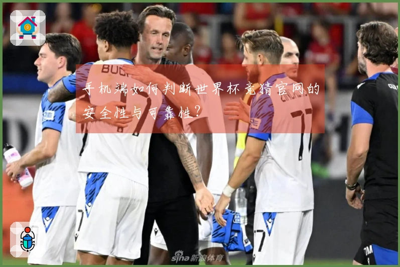 手机端如何判断世界杯竞猜官网的安全性与可靠性？