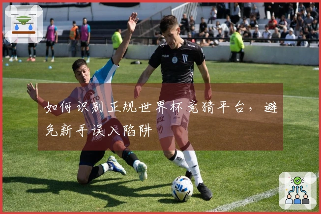 如何识别正规世界杯竞猜平台，避免新手误入陷阱