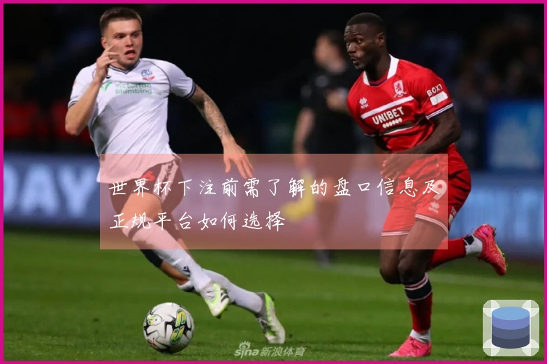 世界杯下注前需了解的盘口信息及正规平台如何选择