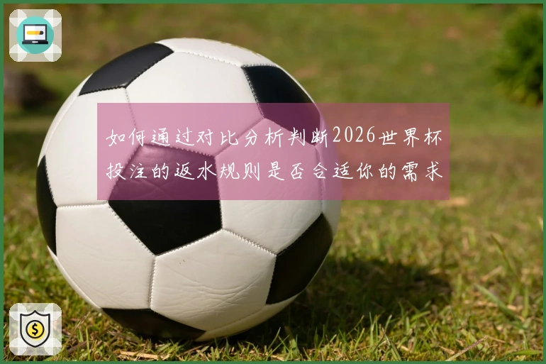 如何通过对比分析判断2026世界杯投注的返水规则是否合适你的需求