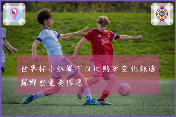 世界杯小组赛下注时赔率变化能透露哪些重要信息？
