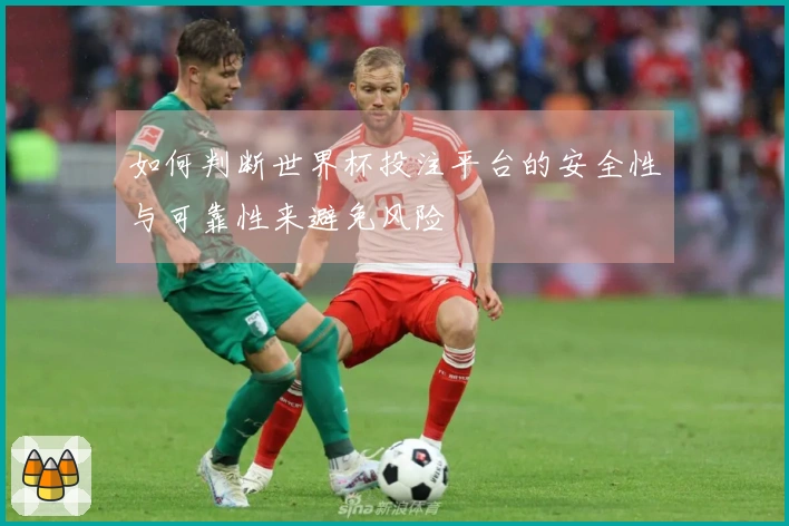 如何判断世界杯投注平台的安全性与可靠性来避免风险