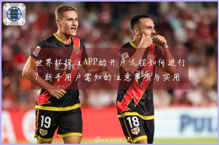 世界杯投注APP的开户流程如何进行？新手用户需知的注意事项与实用建议