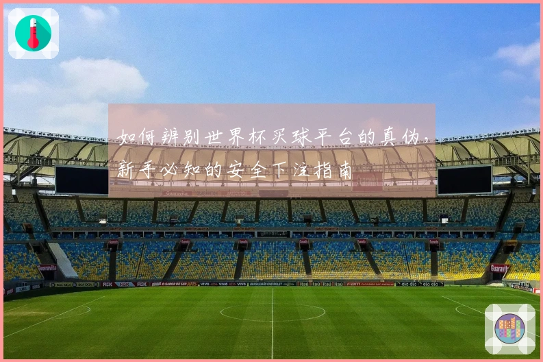 如何辨别世界杯买球平台的真伪,新手必知的安全下注指南
