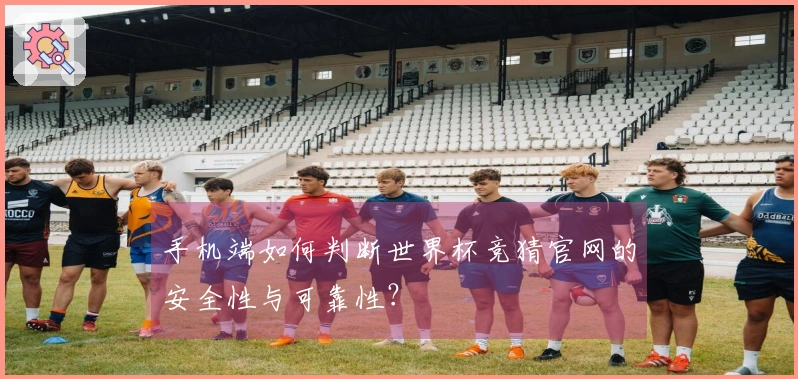 手机端如何判断世界杯竞猜官网的安全性与可靠性?