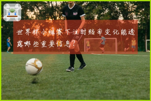 世界杯小组赛下注时赔率变化能透露哪些重要信息？