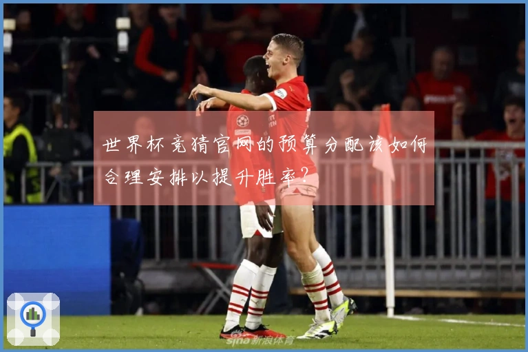 世界杯竞猜官网的预算分配该如何合理安排以提升胜率？