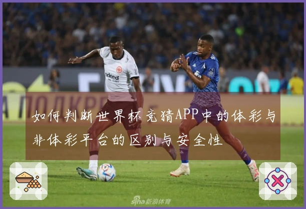如何判断世界杯竞猜APP中的体彩与非体彩平台的区别与安全性