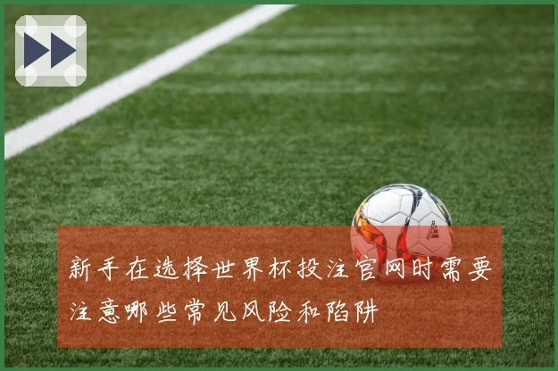 新手在选择世界杯投注官网时需要注意哪些常见风险和陷阱