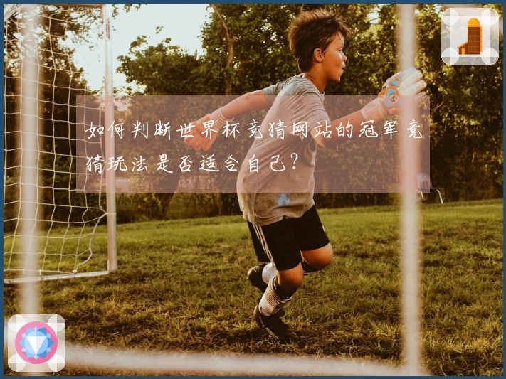如何判断世界杯竞猜网站的冠军竞猜玩法是否适合自己？