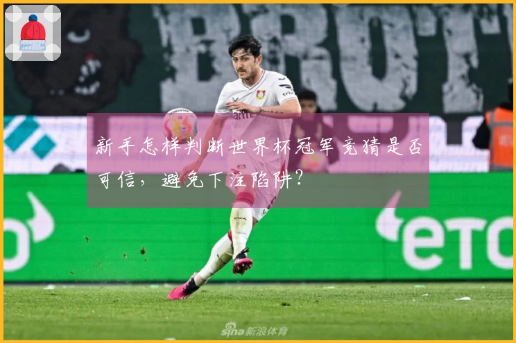 新手怎样判断世界杯冠军竞猜是否可信，避免下注陷阱？
