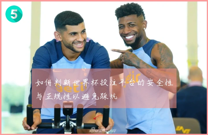 如何判断世界杯投注平台的安全性与正规性以避免踩坑