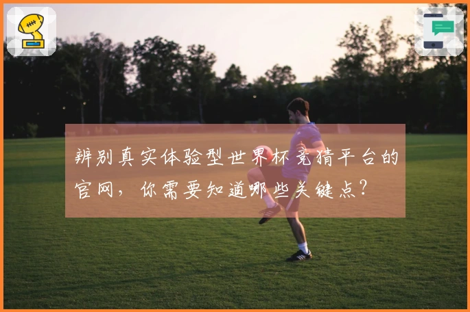 辨别真实体验型世界杯竞猜平台的官网,你需要知道哪些关键点?