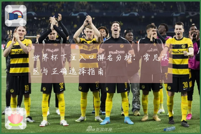 世界杯下注入口排名分析：常见误区与正确选择指南