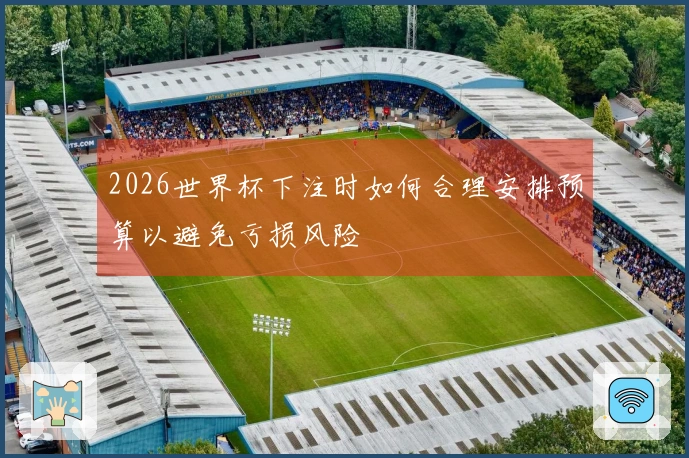 2026世界杯下注时如何合理安排预算以避免亏损风险