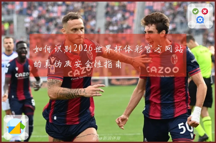 如何识别2026世界杯体彩官方网站的真伪及安全性指南